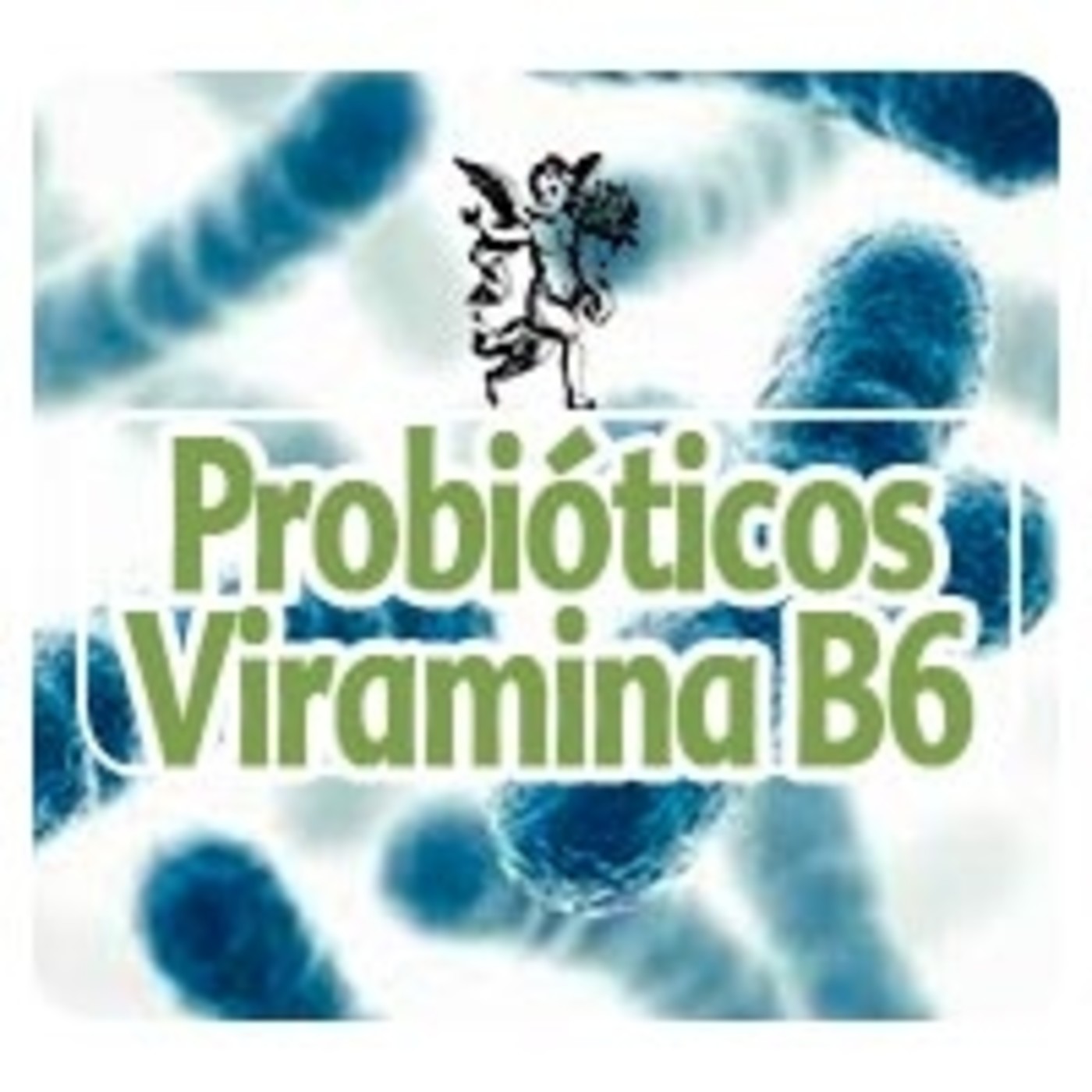 El Angel de tu Salud - PROBIÓTICOS CON VITAMINA B6