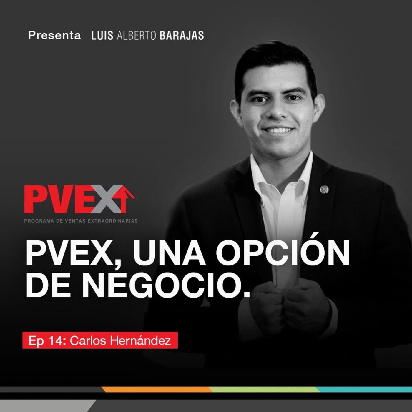 Programa de Ventas Extraordinarias (PVEX)