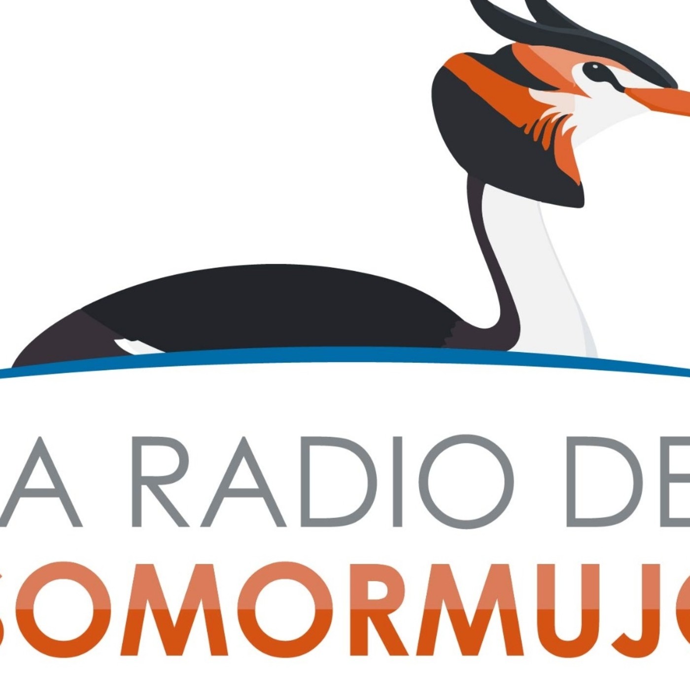 La Radio del Somormujo