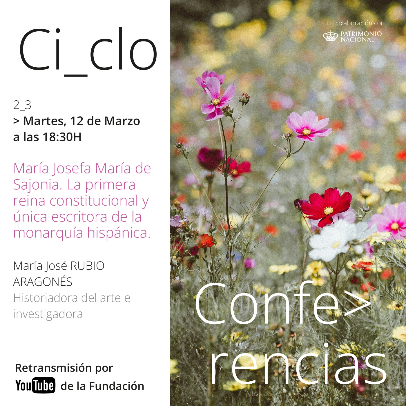 Conferencias