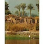 25 de septiembre 2.011: Profesor José Ramón Pérez-Accino; Egipto ayer y hoy
