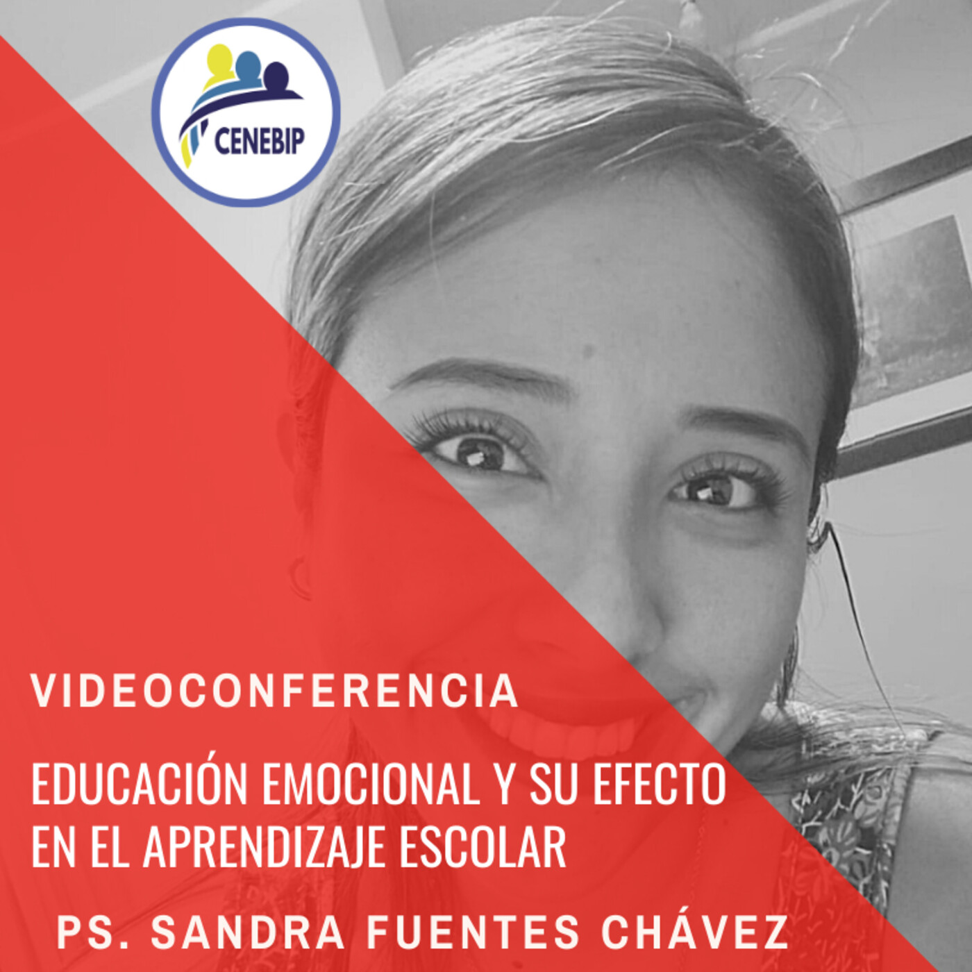 #02 videoconferencia: educaciÓn emocional y su efecto en el aprendizaje escolar