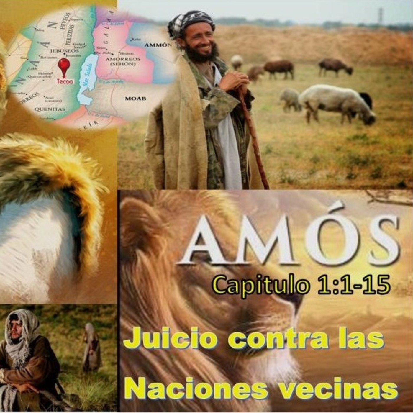 k-Amos