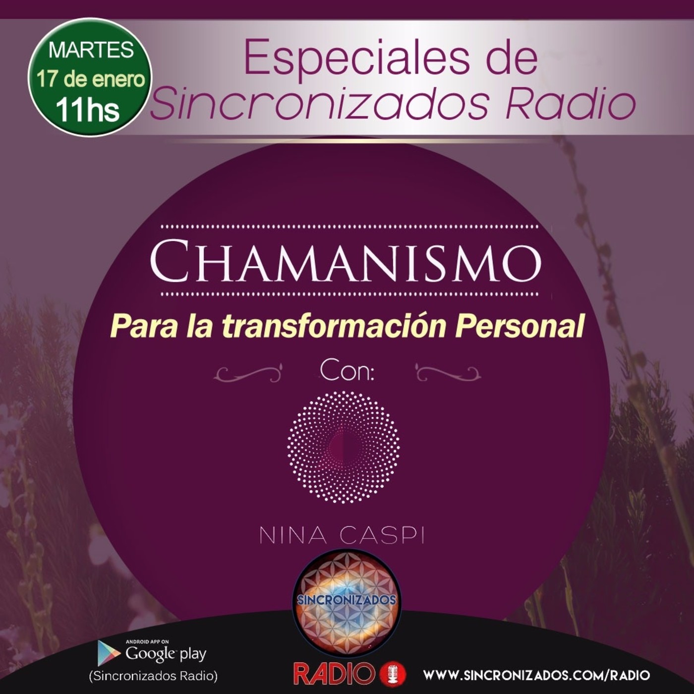 Especiales de Sincronizados Radio