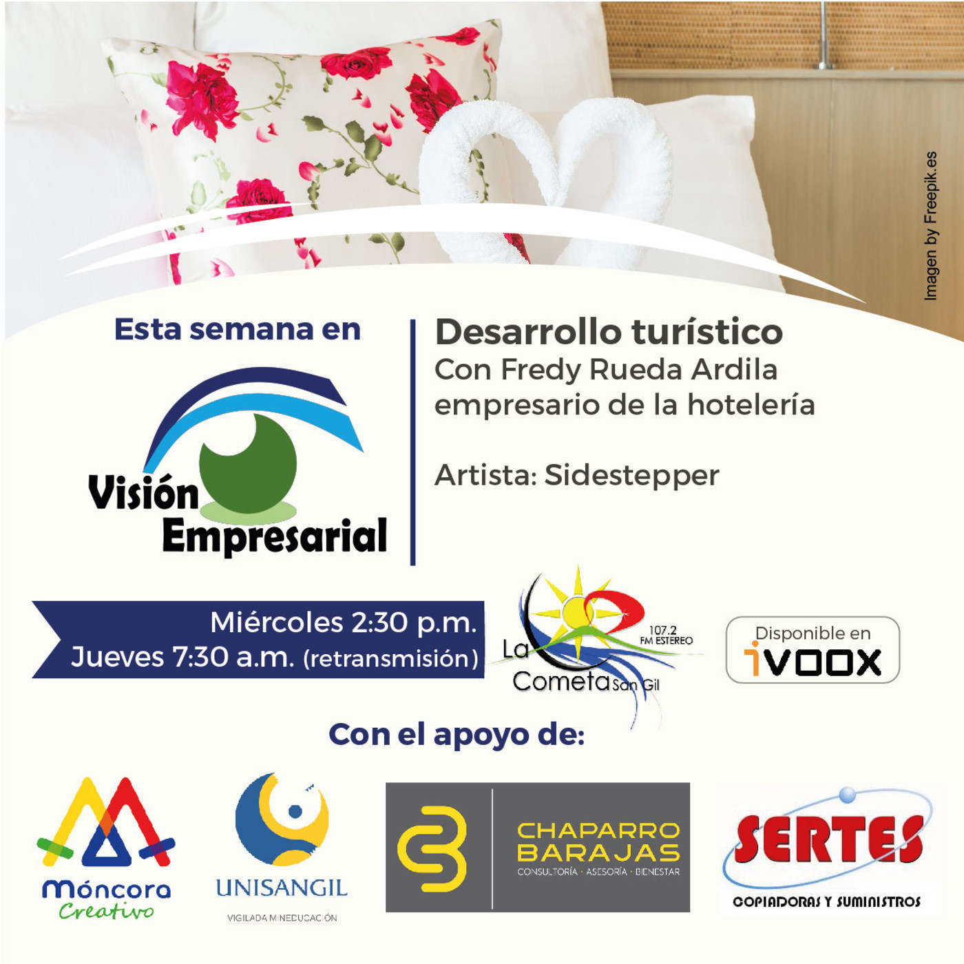 Visión Empresarial