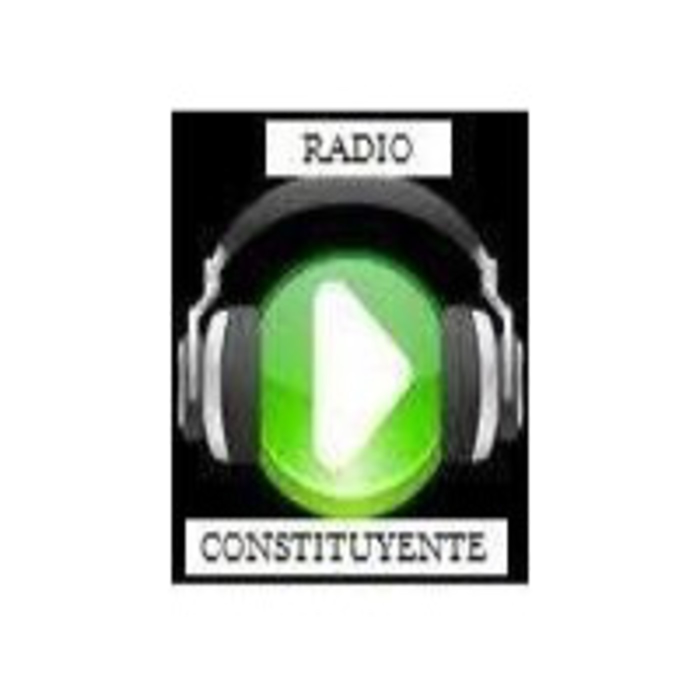 Reglamento de un Constituyente Civil