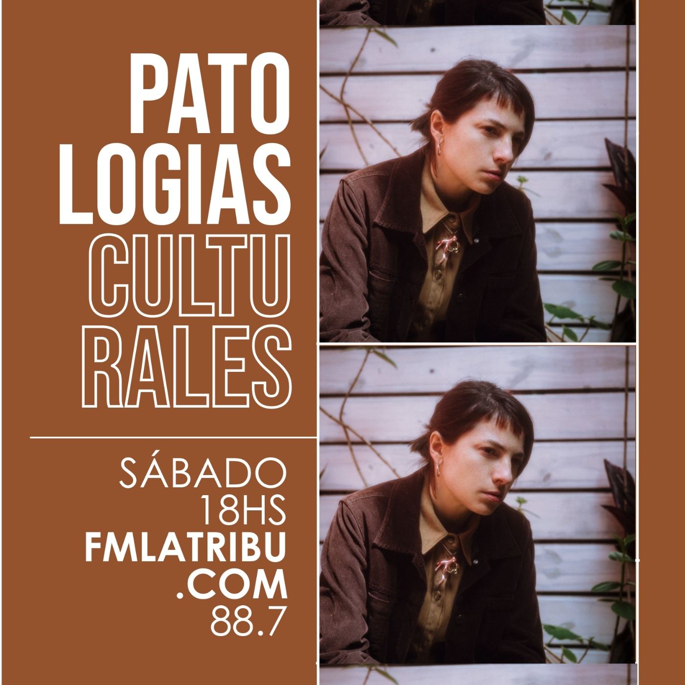 Patologías Culturales