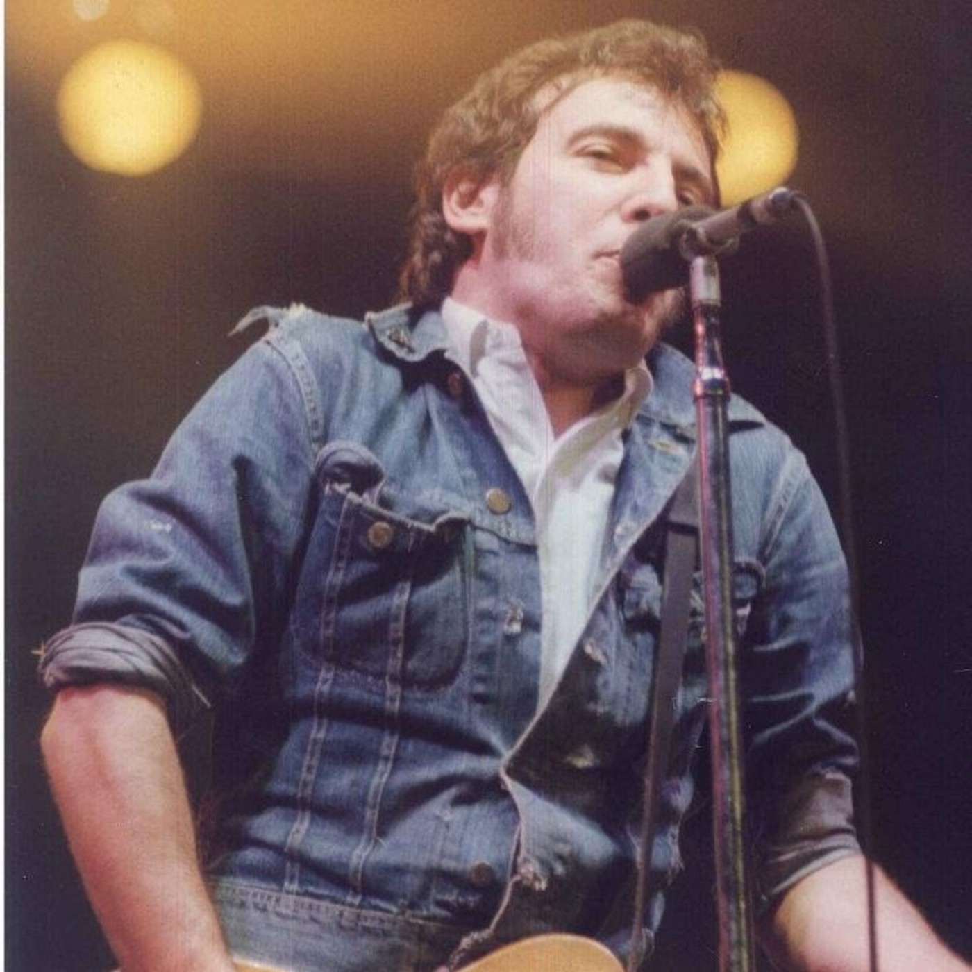 Els Fans de Bruce Springsteen