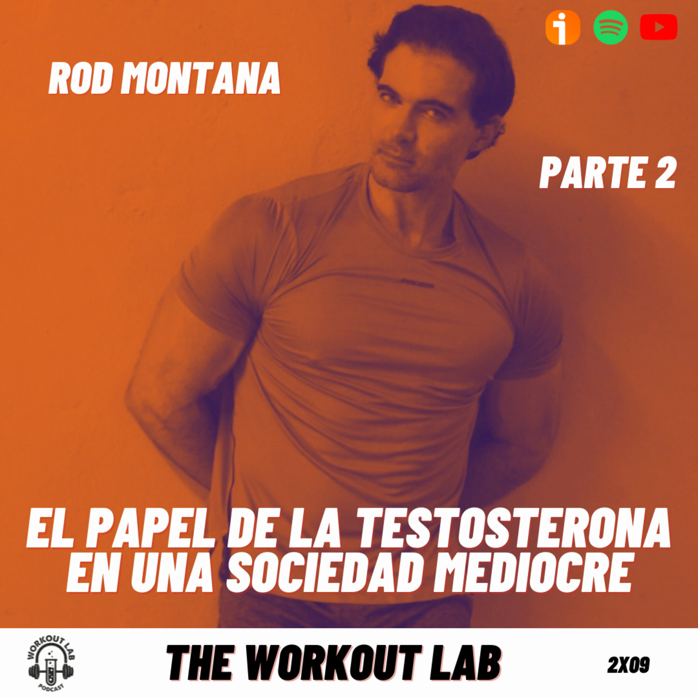 The Workout Lab