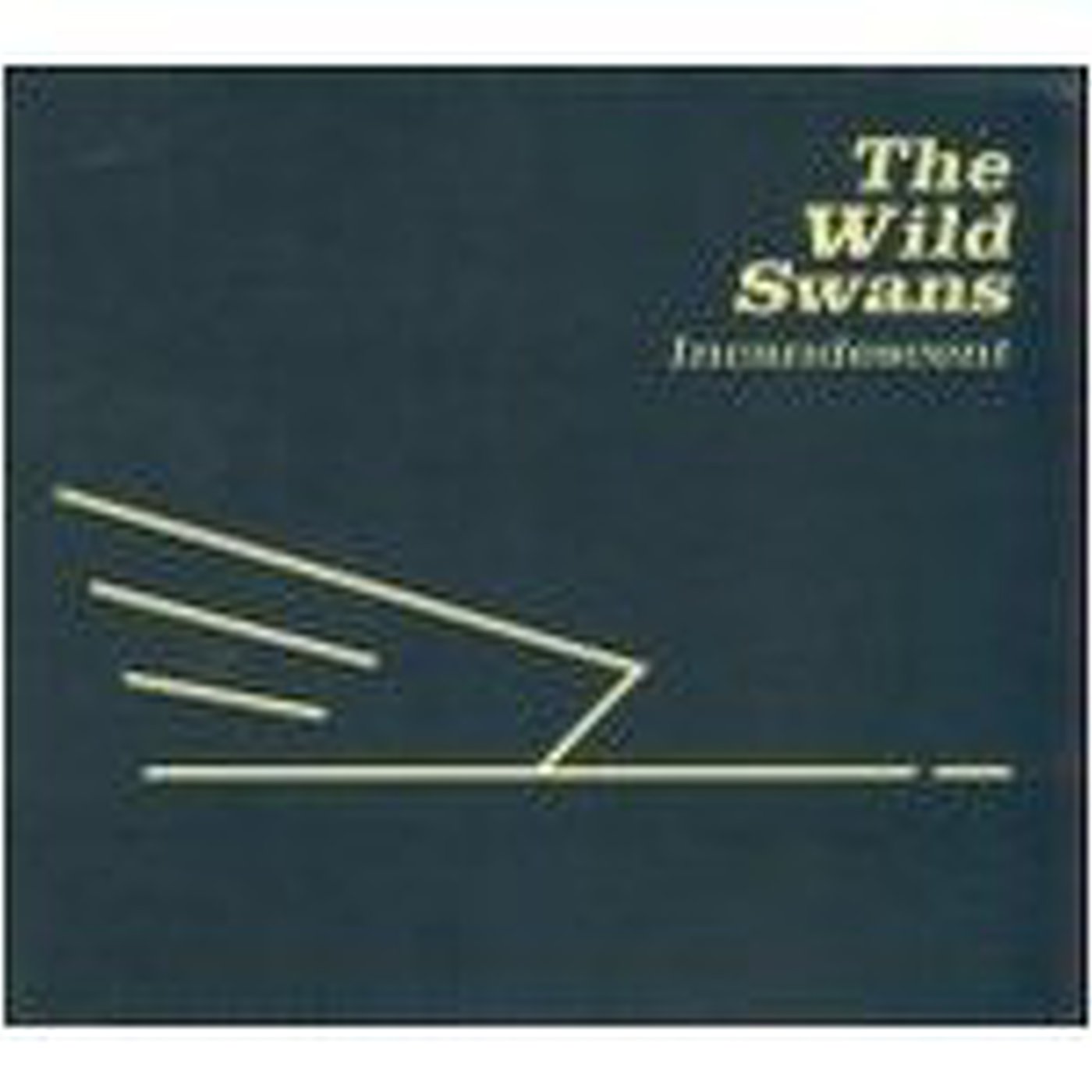 Amskremember 401 / "THE WILD SWAND" Rarities-B sides Collection1980/1990 - Cuarentaytantos Technopop 80s The other Side episode artwork