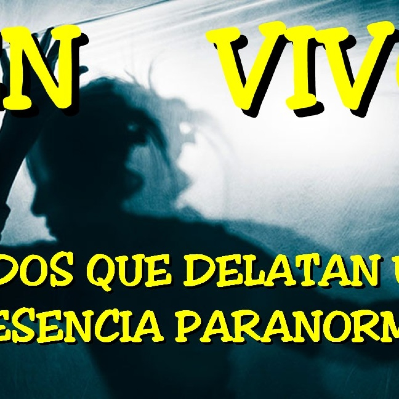 Los desvelados - 2024 - ruidos que delatan una presencia paranormal