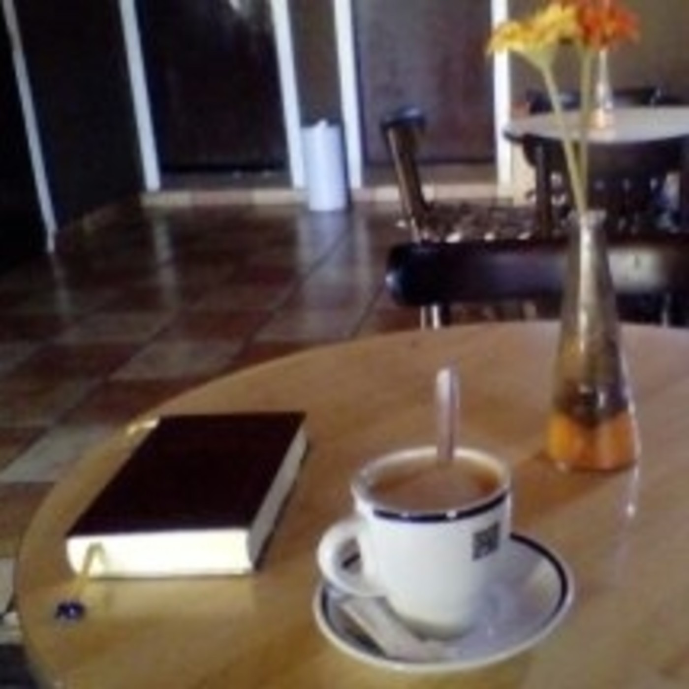 "El son de Notre Damme" T2 Cap 13 "El son de Notre Damme" T2 Cap 13