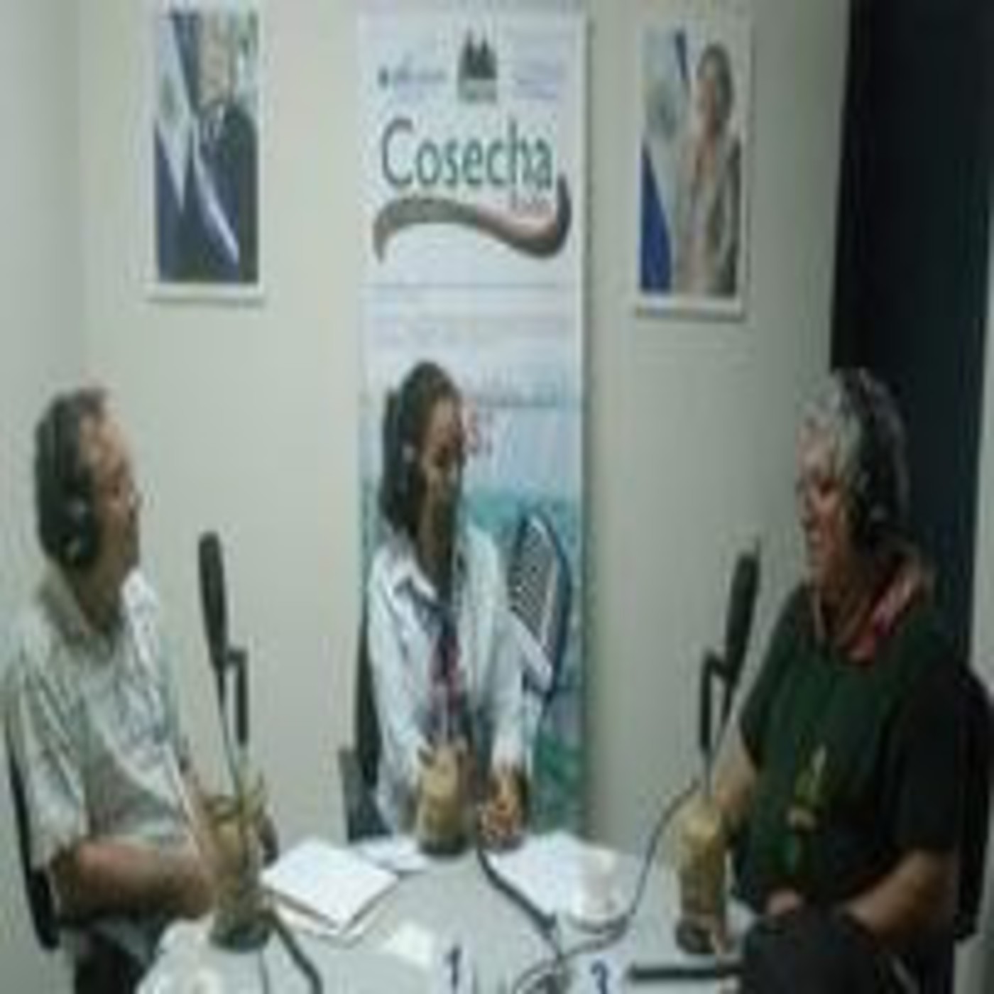 COSECHA RADIO - PODCAST