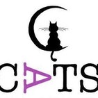 Rueda de Prensa del Comité de Apoyo a las Trabajadoras del Sexo (CATS) en El Cabanyal, 29 julio 2019
