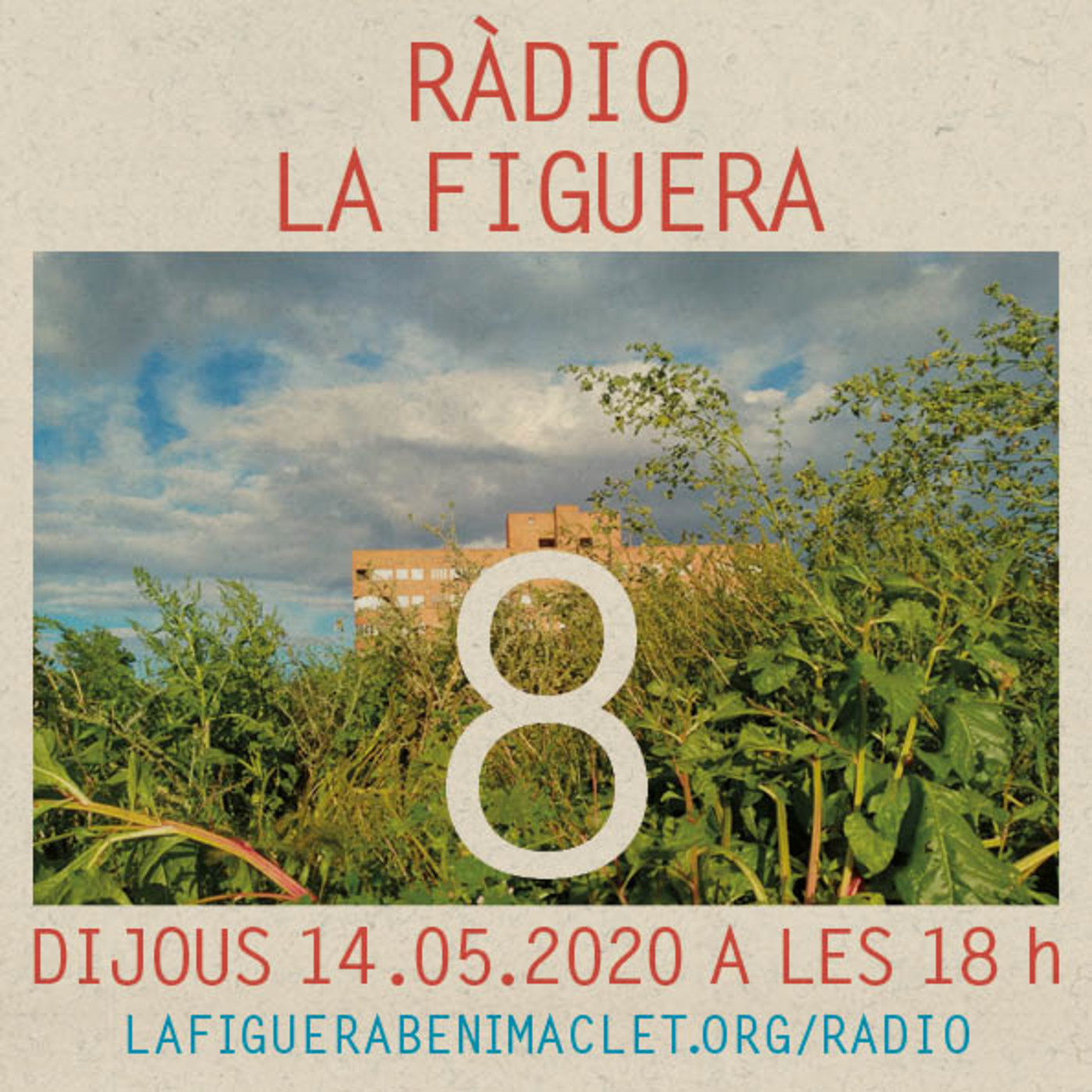 La Figuera... confitada