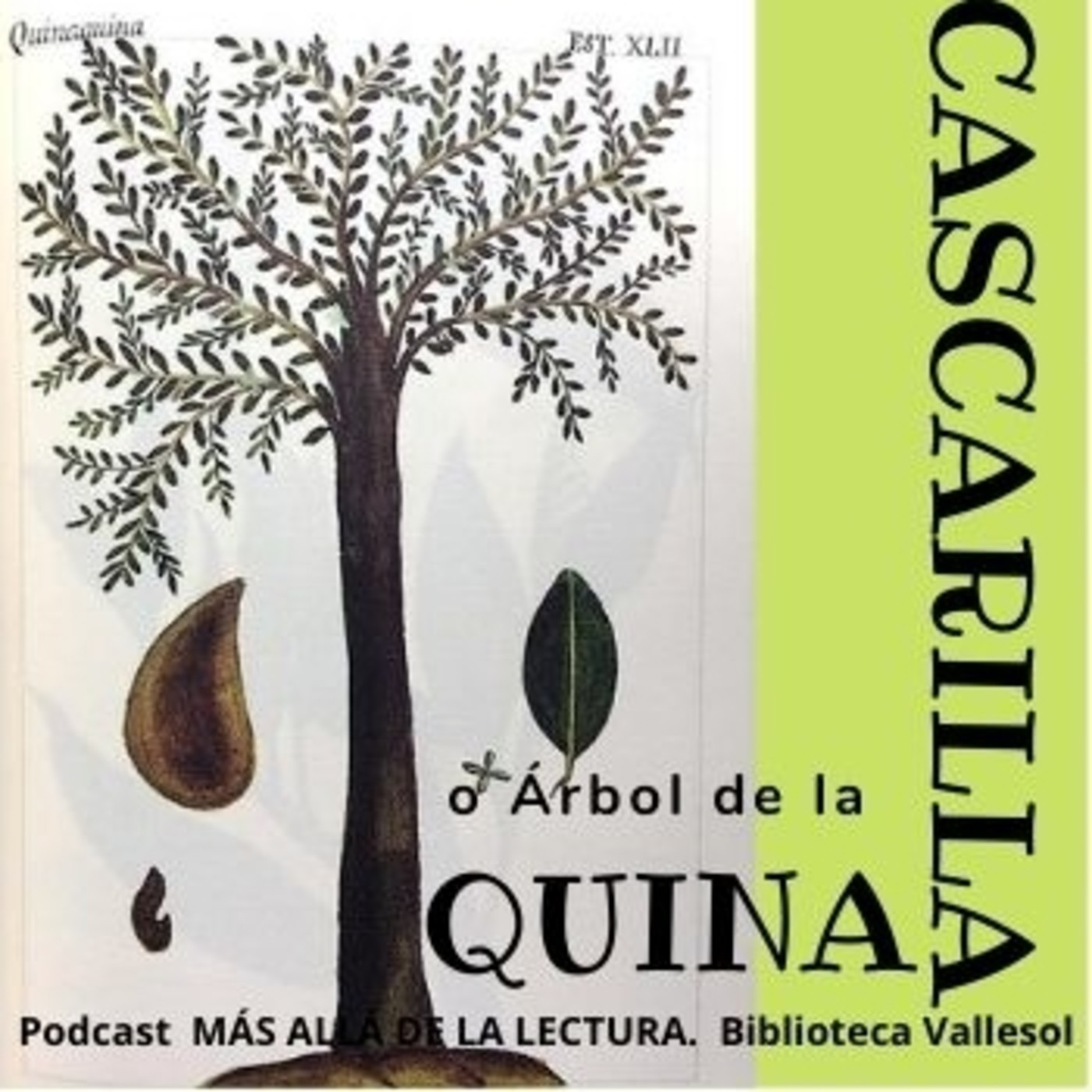 MÁS ALLÁ DE LA LECTURA