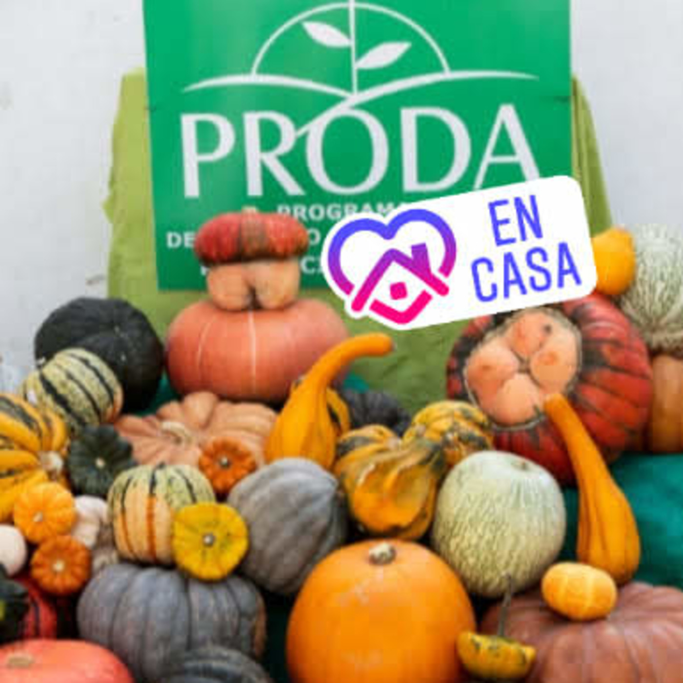 Podcast Comunitario Sayhueque