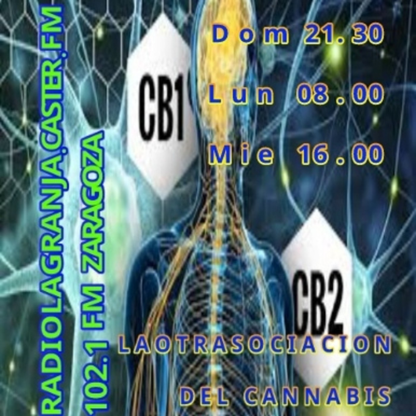 Cannabis y dolor Doctor García de Palau WCC 2017 Spannabis Madrid MARIHUANA