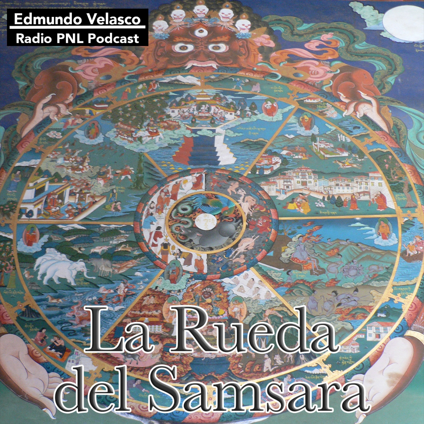 Edmundo Velasco en Directo
