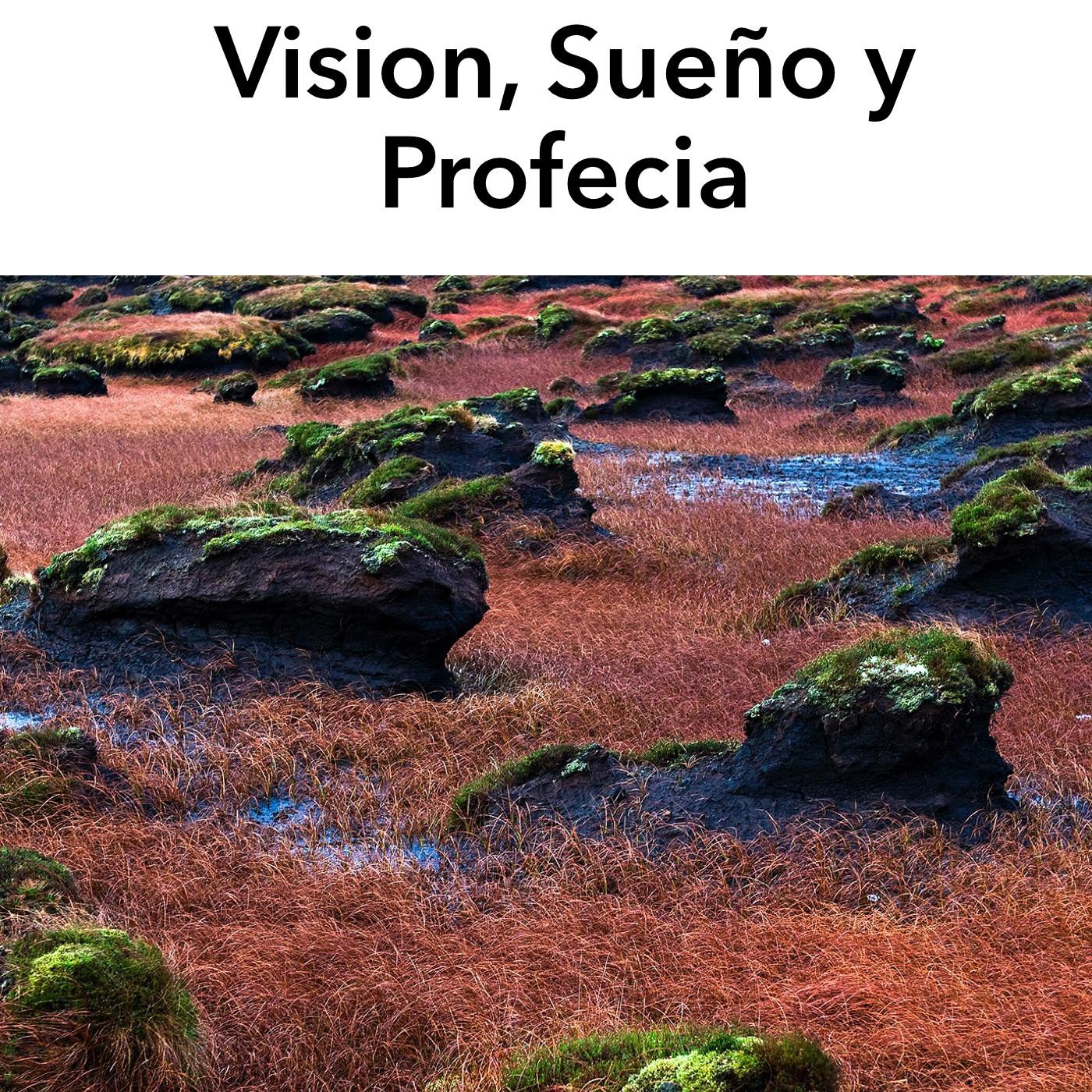 Vision, Sueño y Profecía