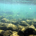 Rocas del Mar del Norte del Reino Unido almacenan Energía Renovable