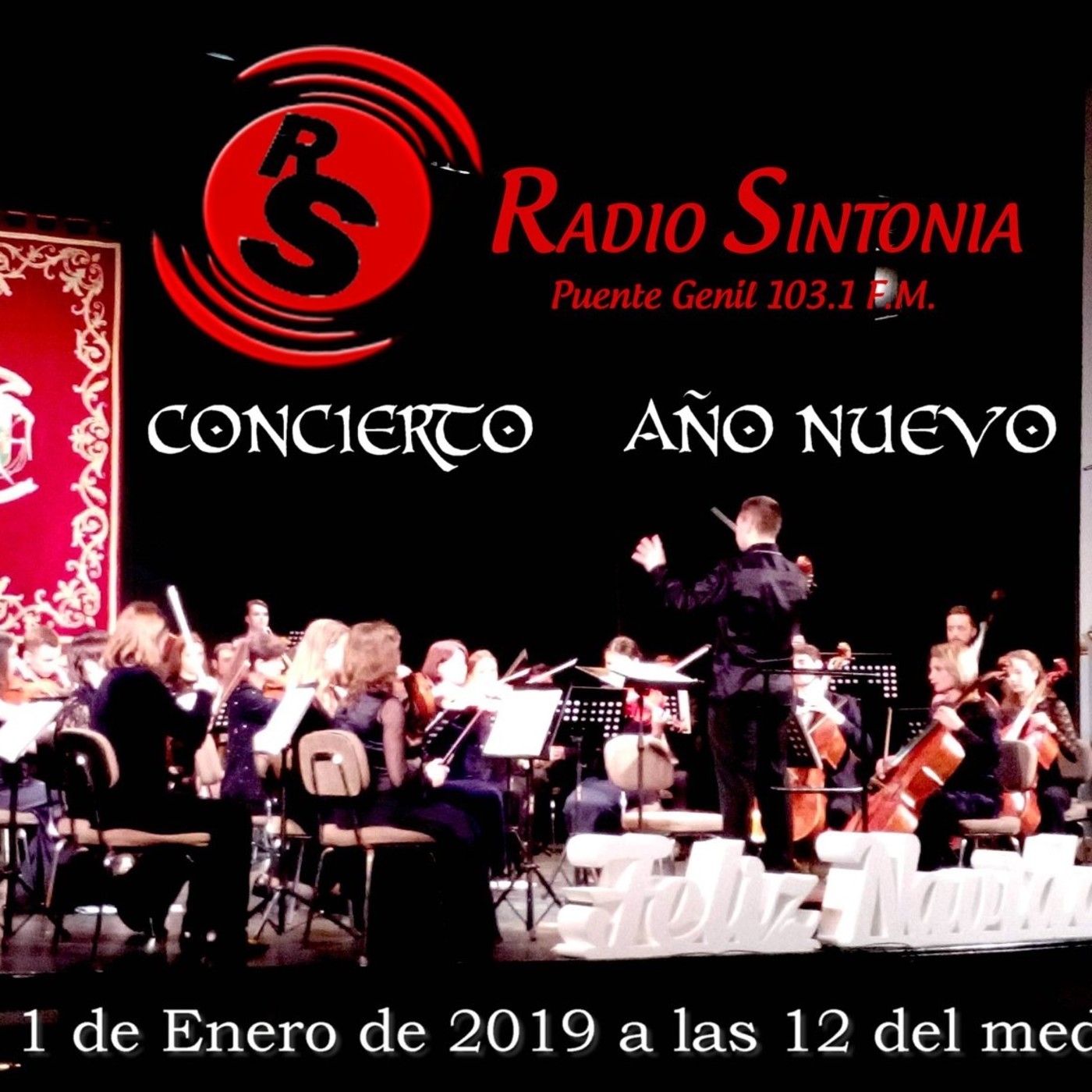 Conciertos en el Teatro-Circo