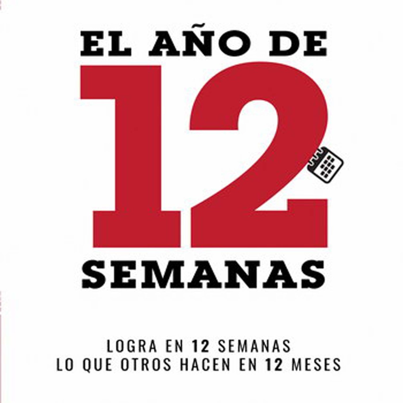 Salvador Mingo -Conocimiento Experto-