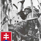 Ndg 46 Eslovaquia, Aliado fiel del Eje. WW2