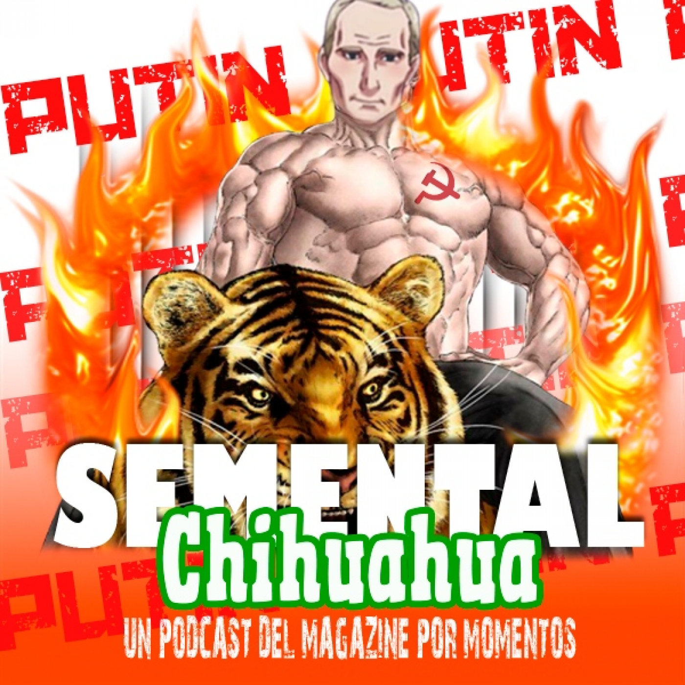 Semental Chihuahua