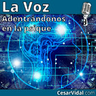 Adentrándonos en la psique: Neuropsicología de la inteligencia - 13/11/19