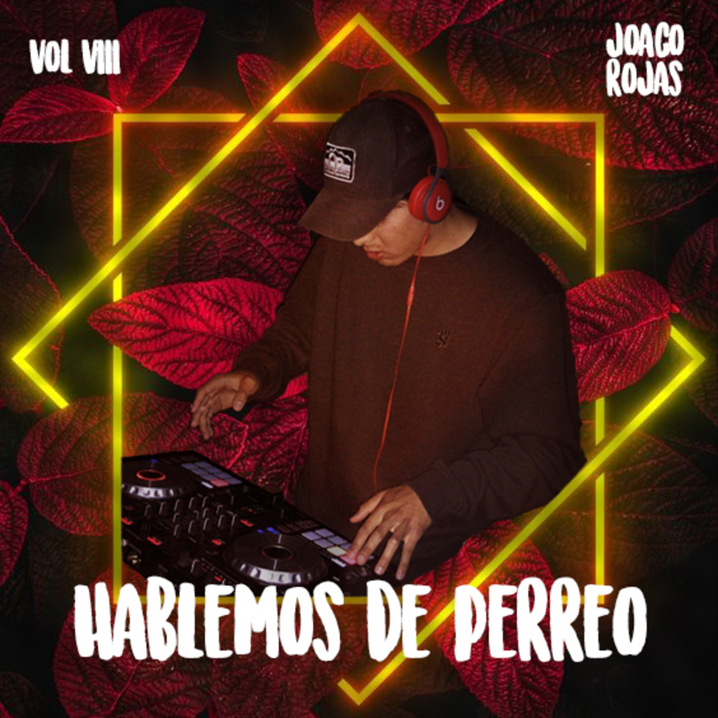 Hablemos de Perreo