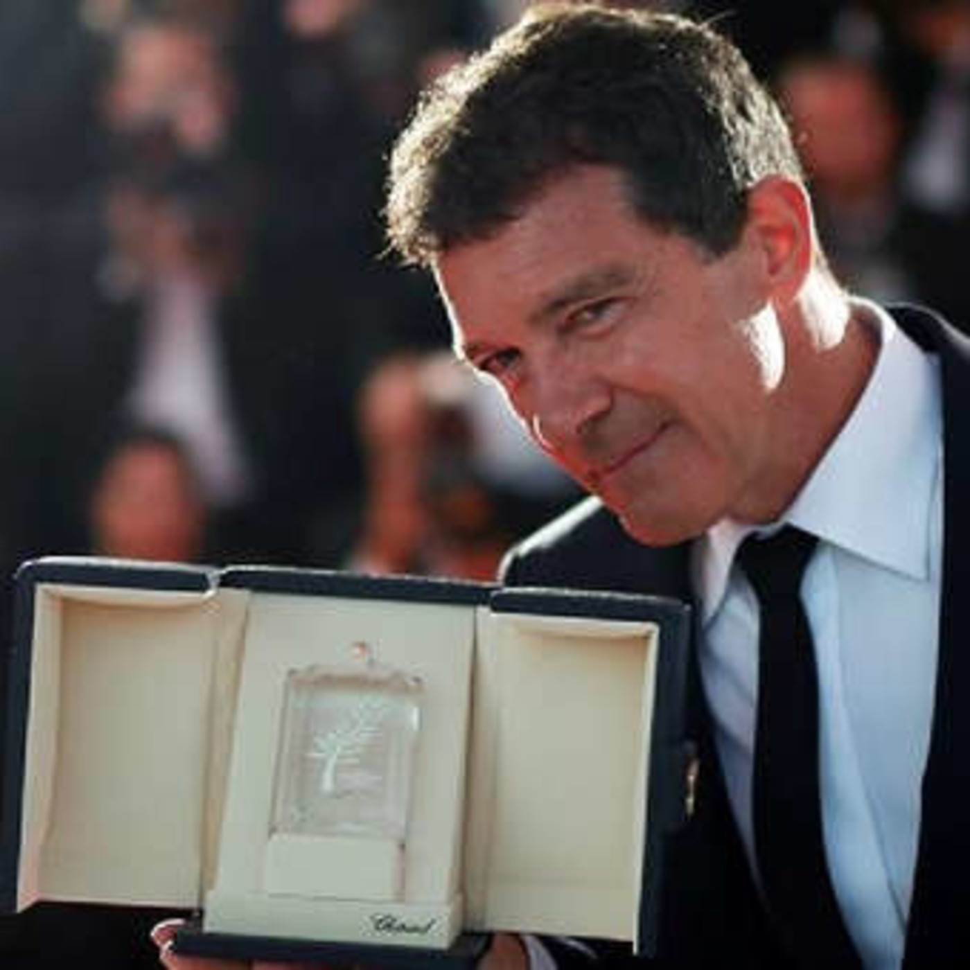 La Alfombra Roja 2018/2019
