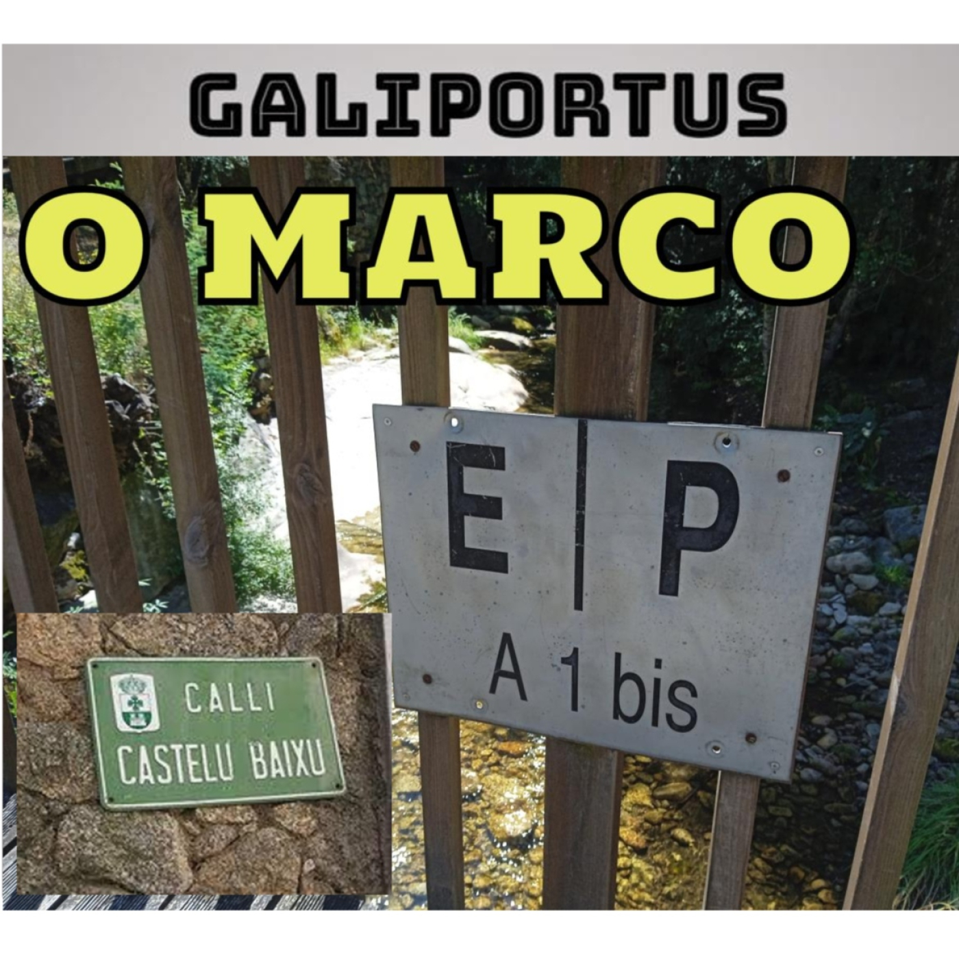 GALIPORTUS