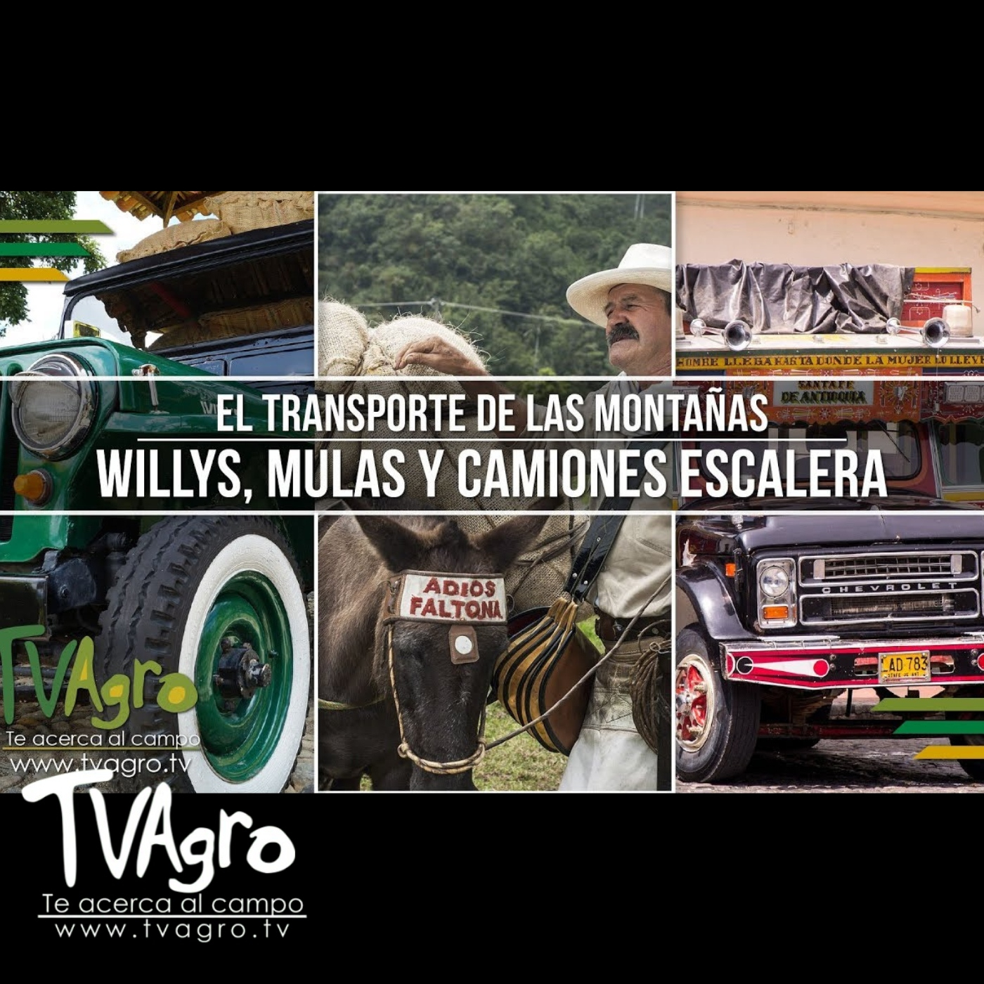 TV AGRO