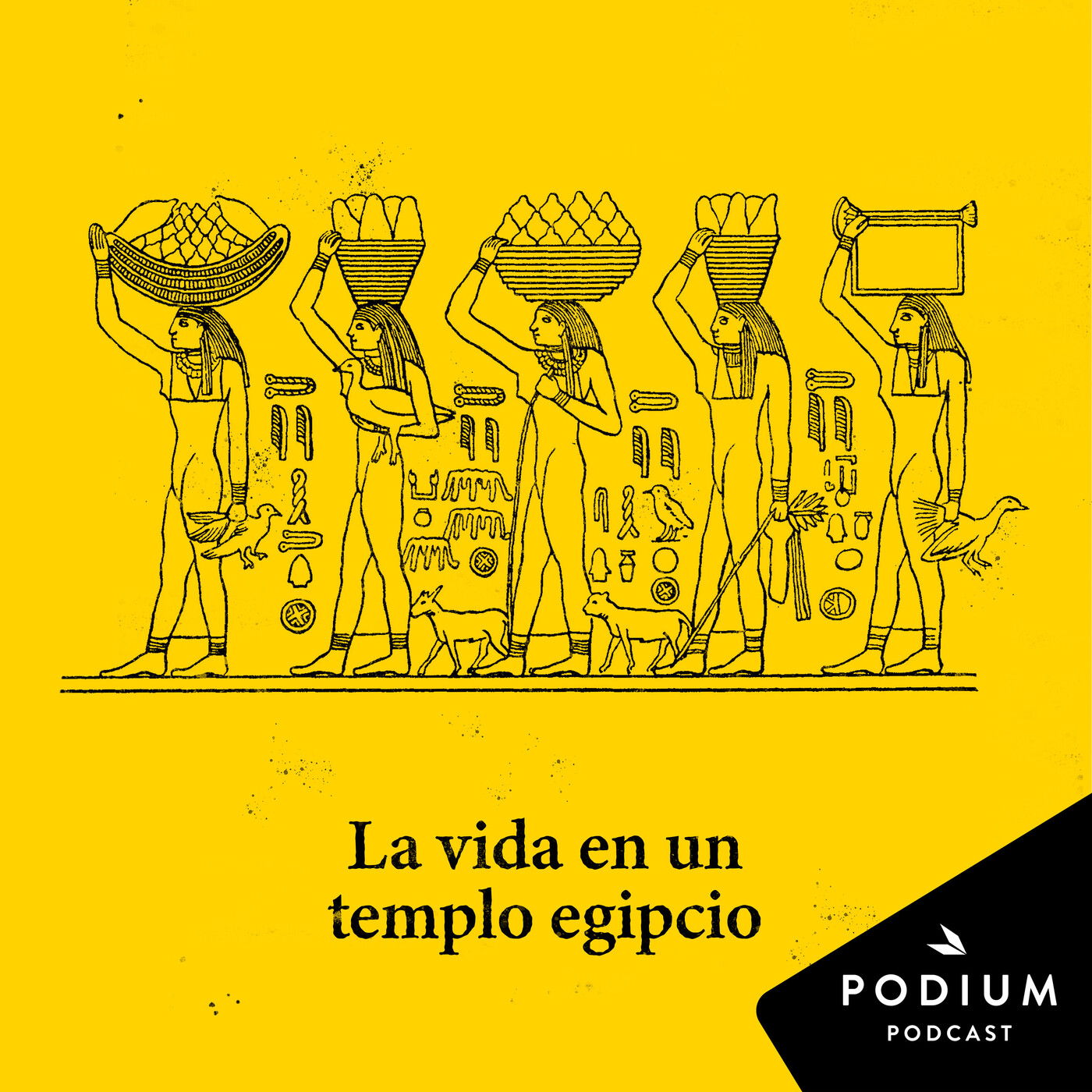 Dentro de la pirámide