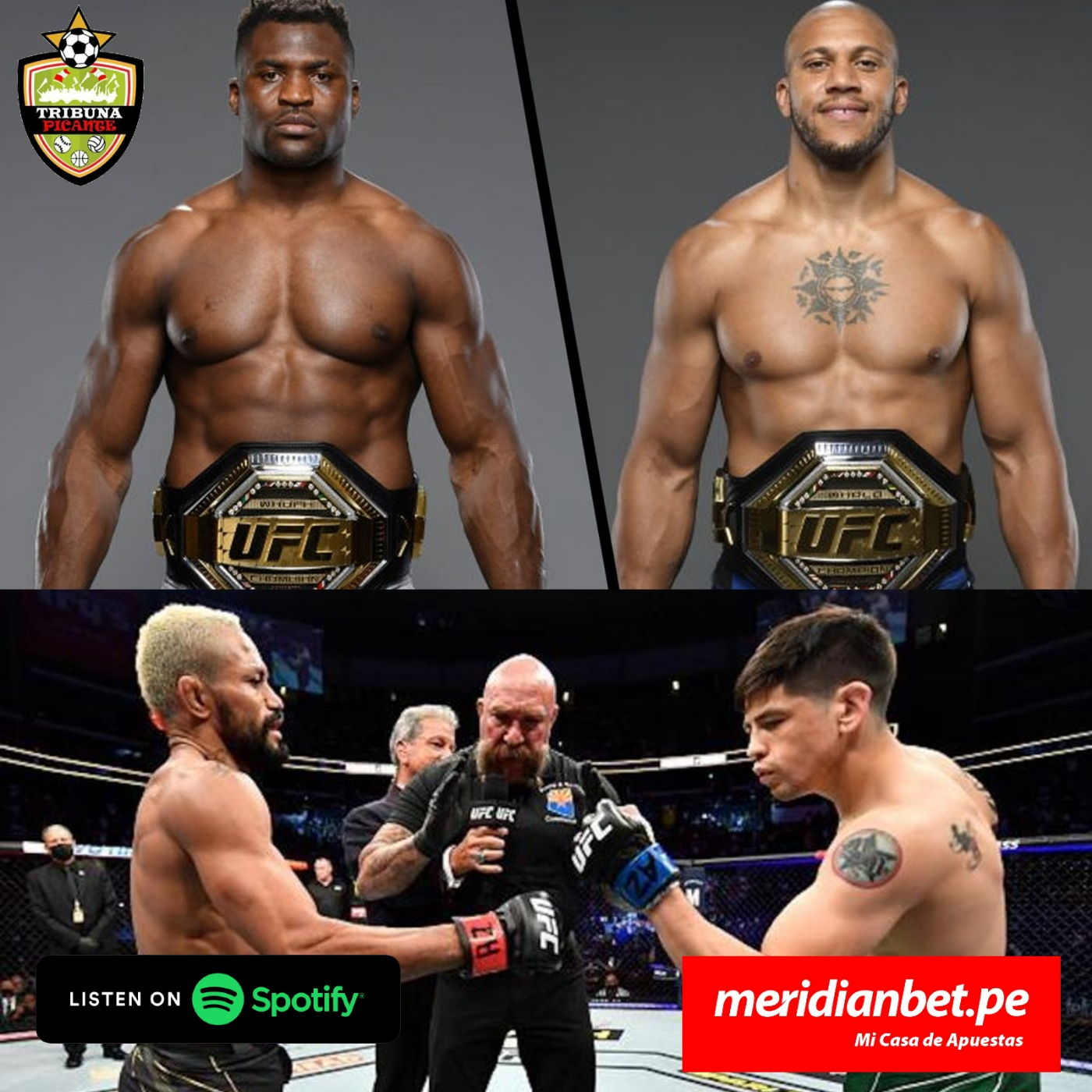Podcast - Anáisis del evento UFC 270 episode artwork