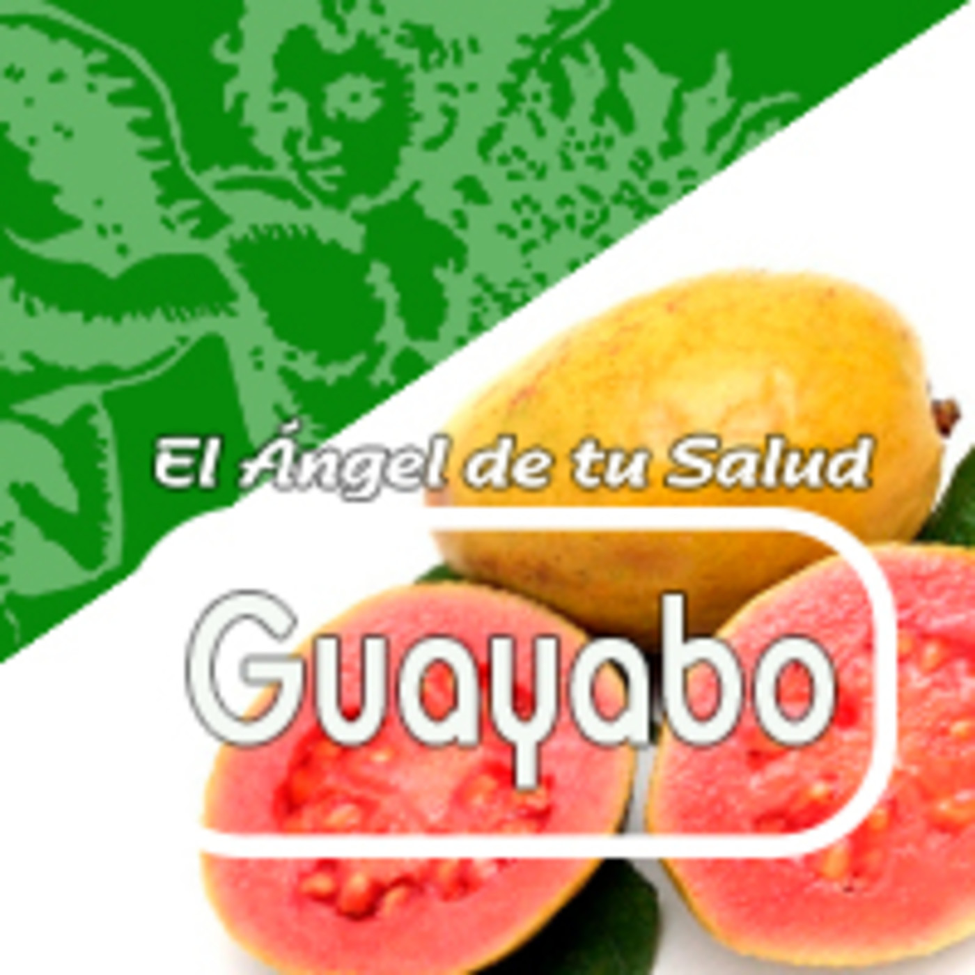 El Angel de tu Salud -GUAYABO episode artwork
