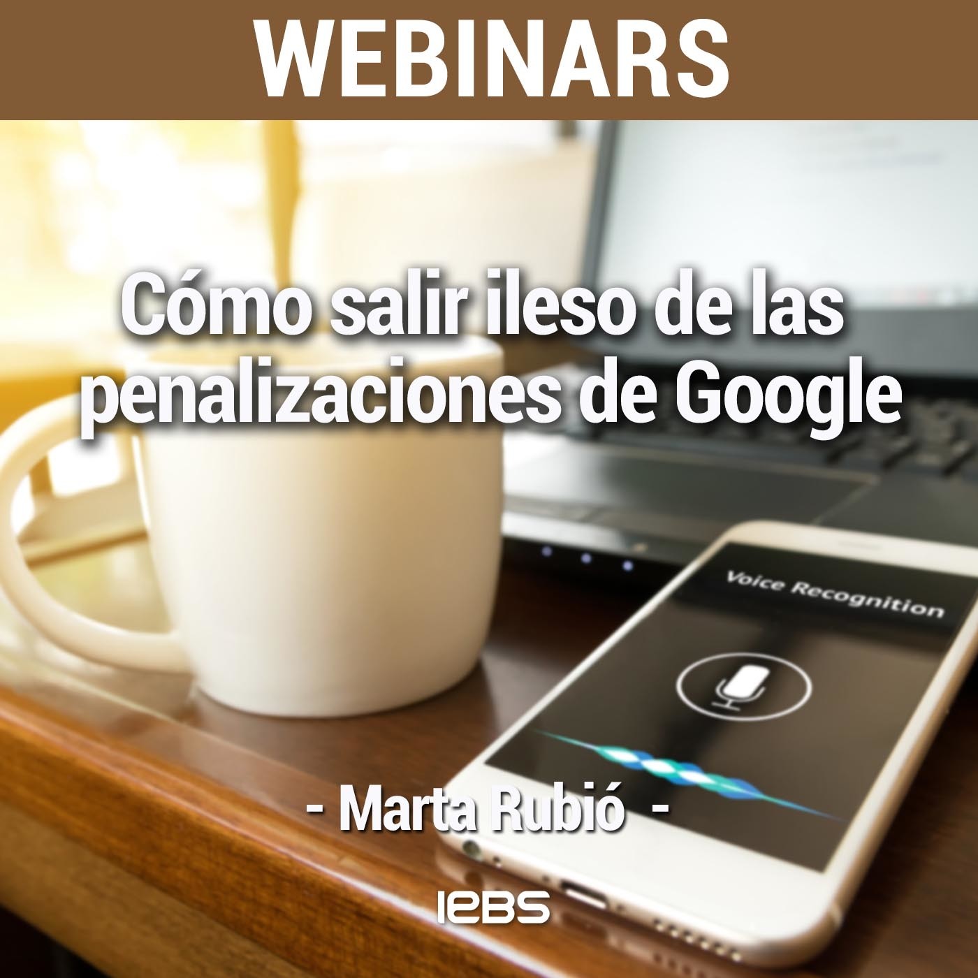 Webinars IEBS