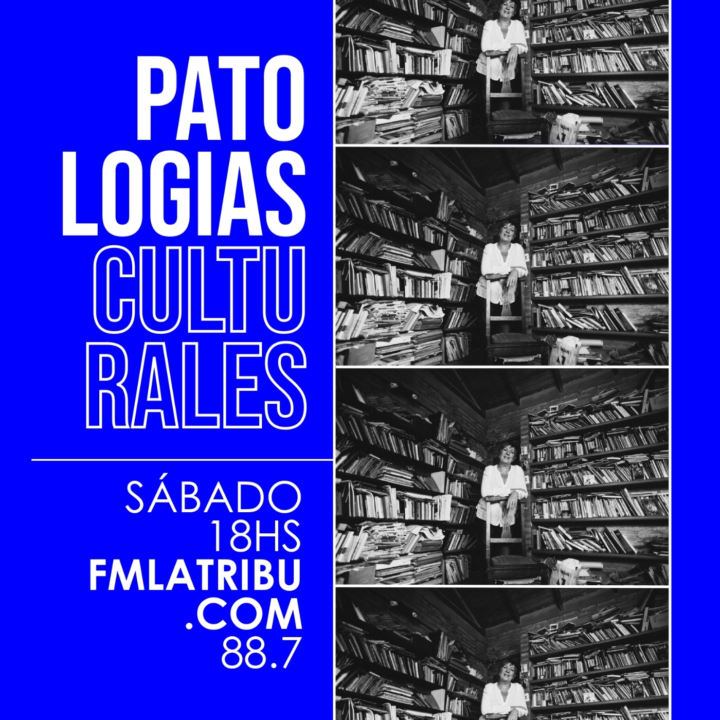 Patologías Culturales