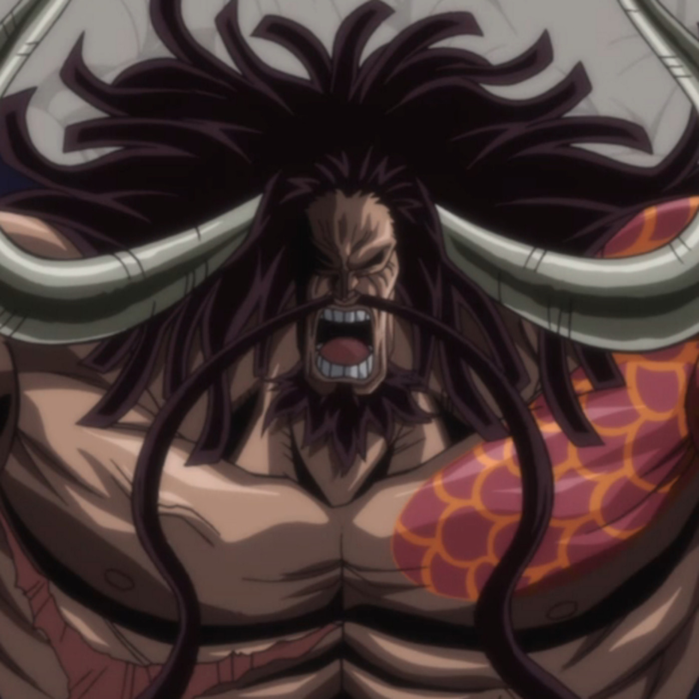 One Piece Podcast