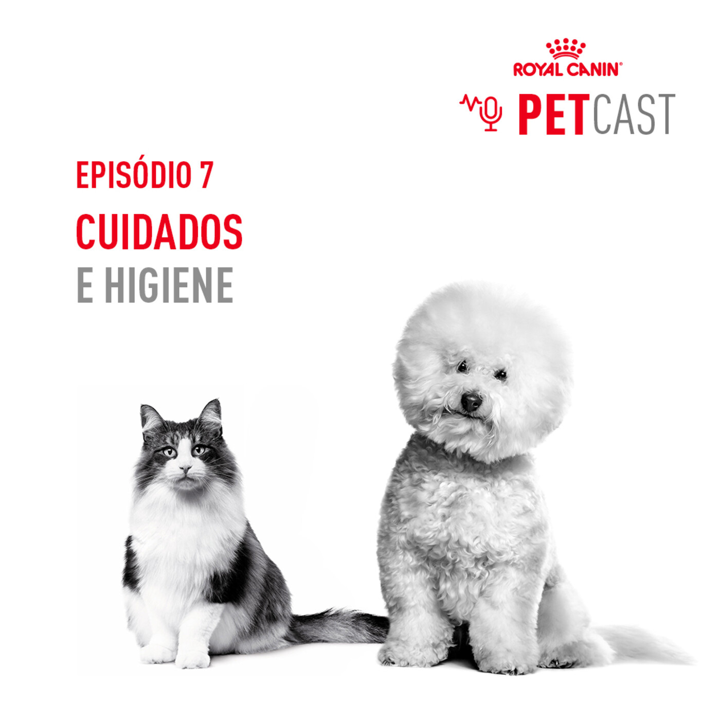 ROYAL CANIN PETCASTS PORTUGAL