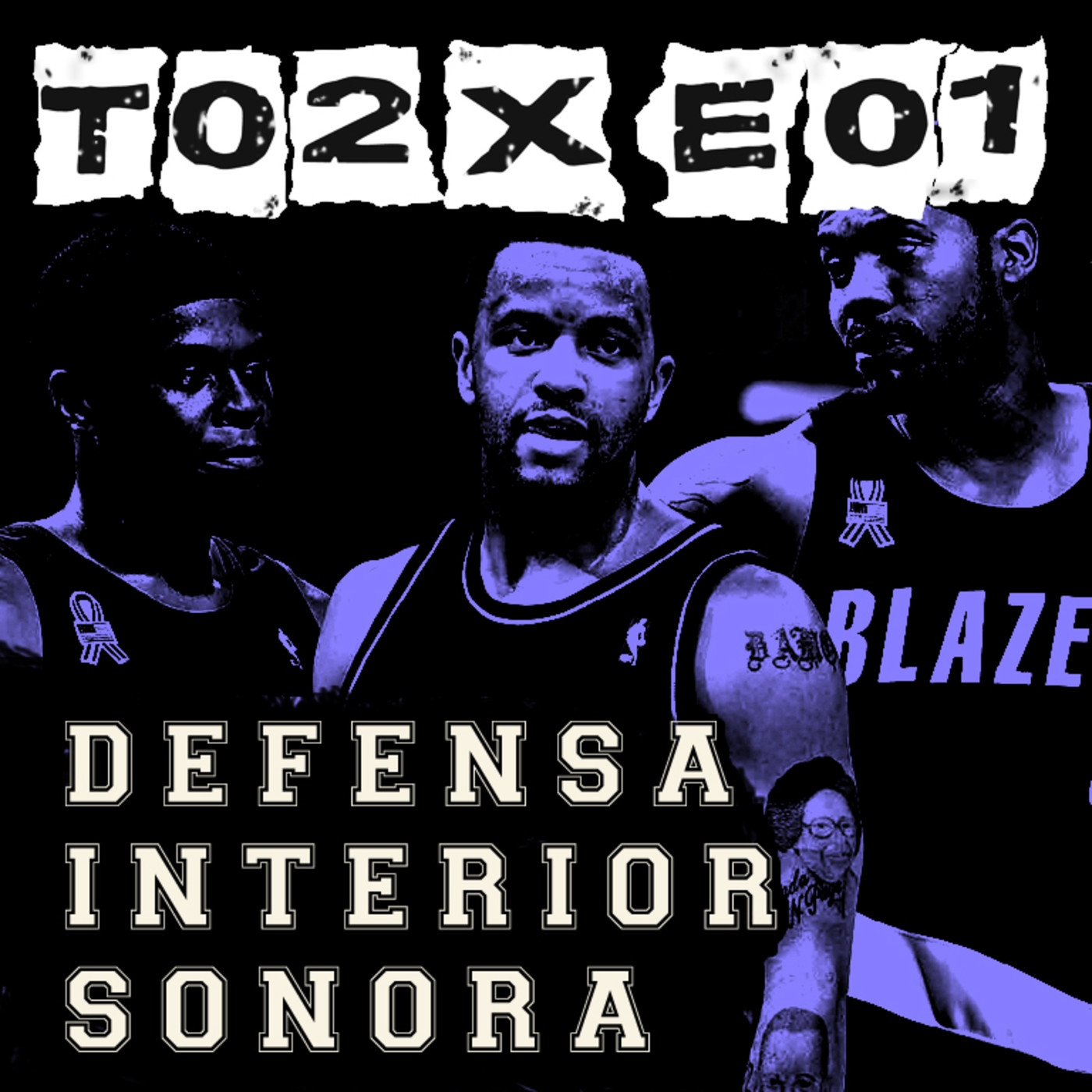 Defensa Interior Sonora