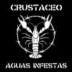 958 - Crustaceo - Memorandum