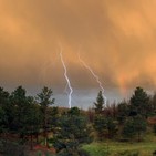 Tormenta en el Bosque.