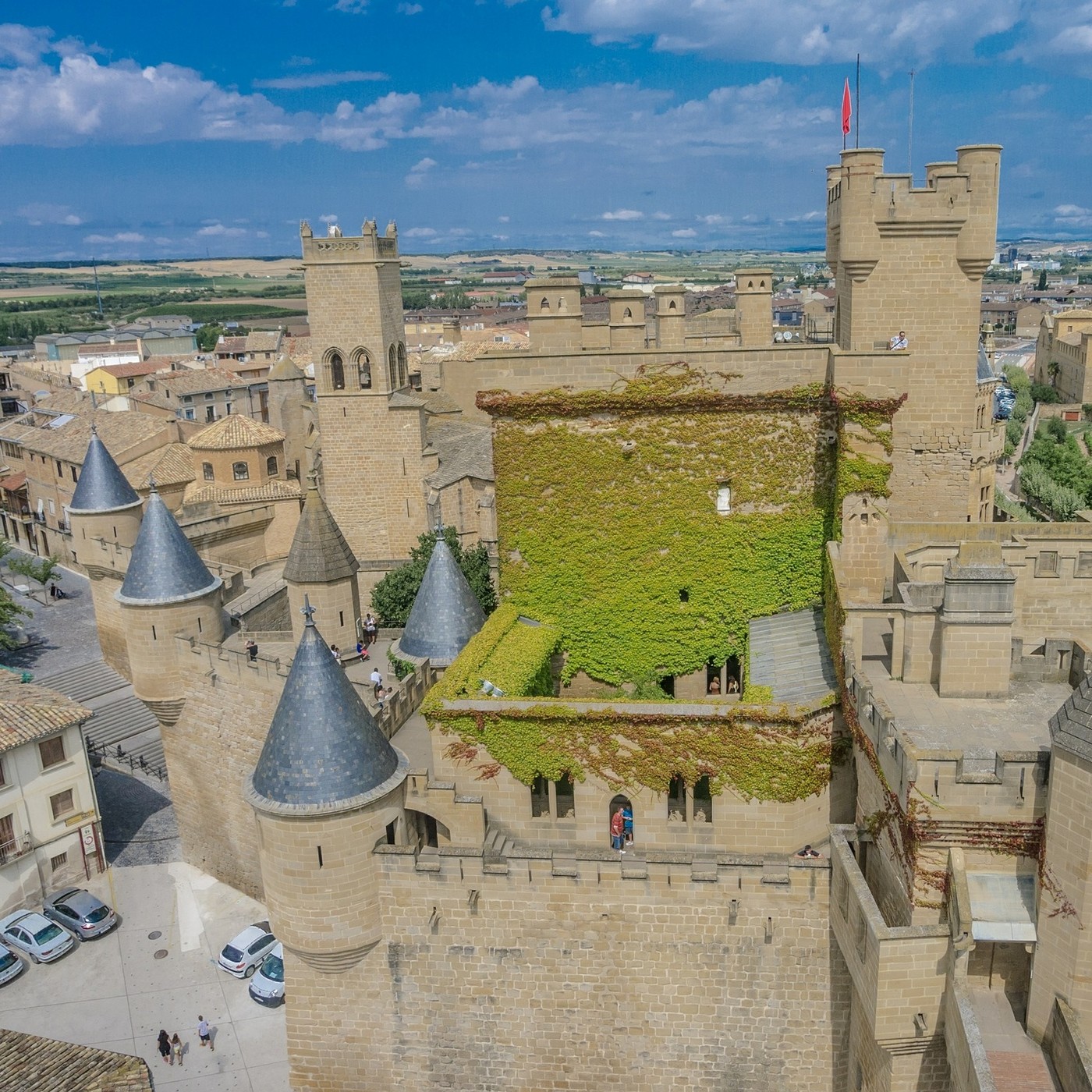 AMIGOS DE LOS CASTILLOS
