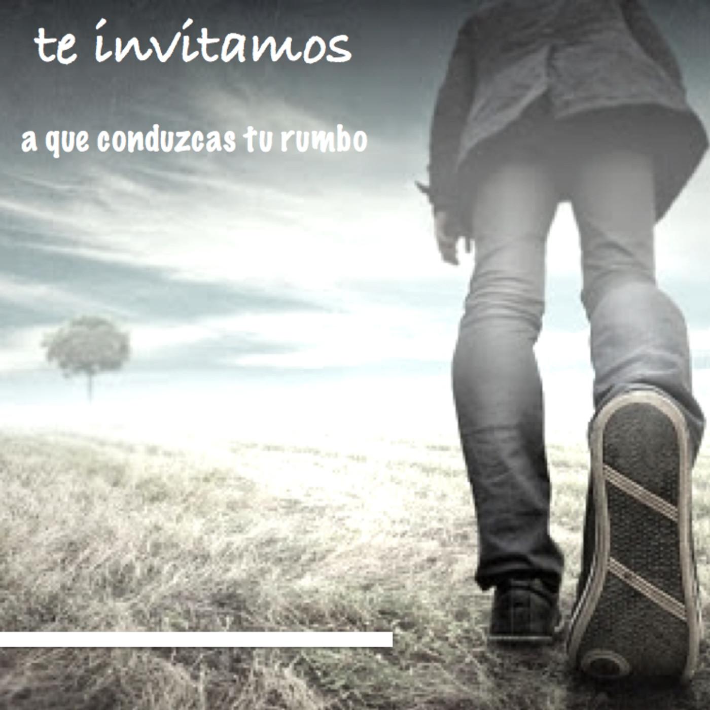 Descubre