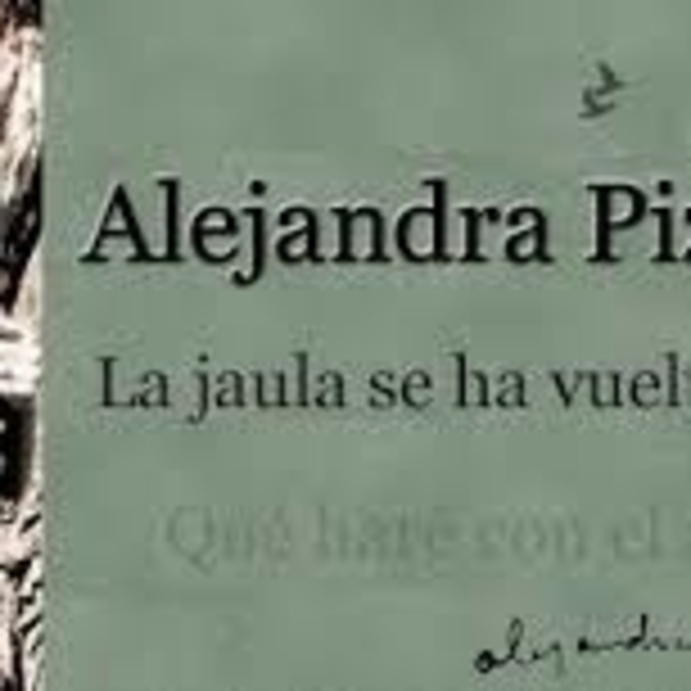 Monica Viviana Silvestre