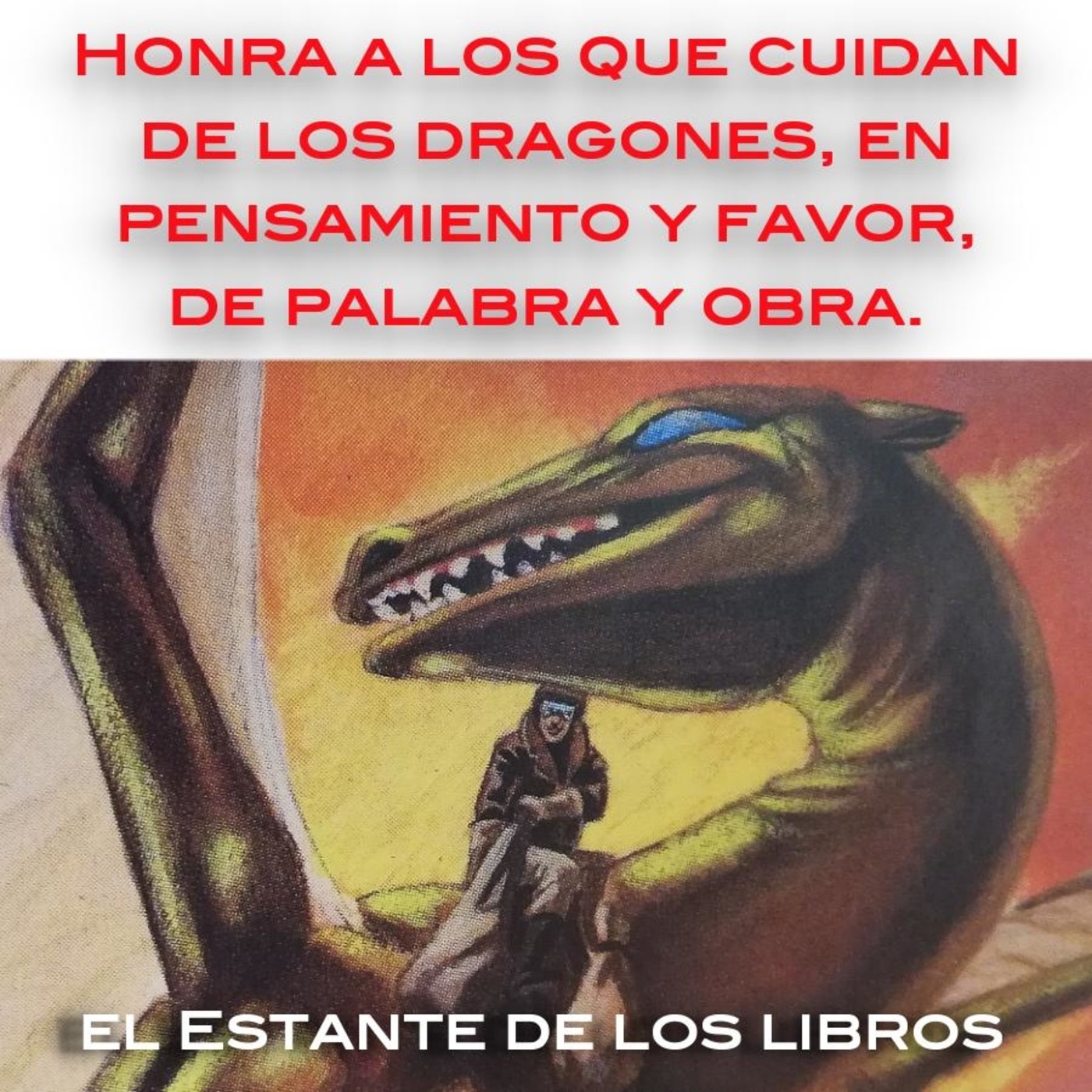 El Estante De Los Libros