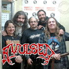 Corsarios - Programa del 13 de noviembre de 2016: Entrevista AVULSED