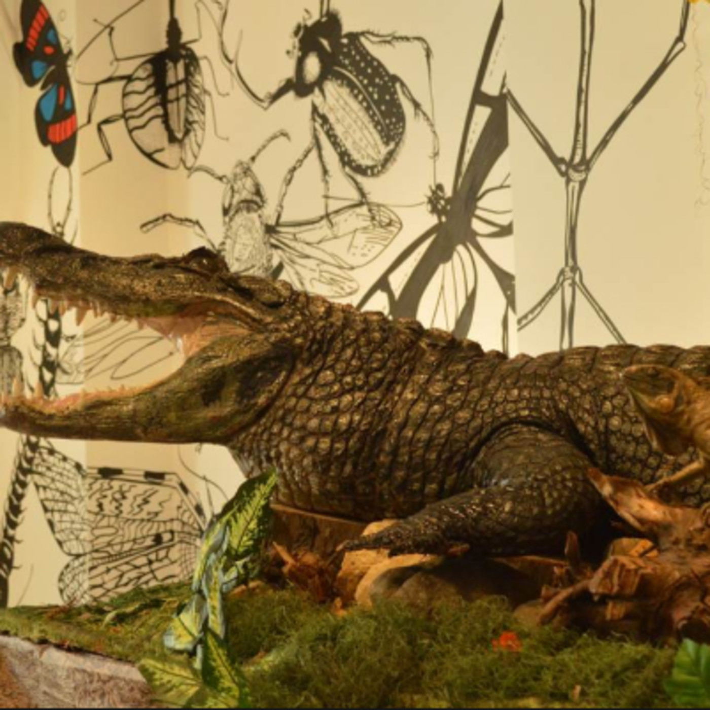 MUSEOS EN VIVO